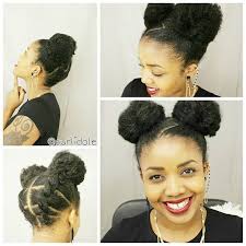 Natural Double Bun Hairstyle Natural Hair Styles Hair Styles Hair