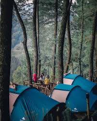 Hutan desa setianegara / perbaikan jalan desa setianegara kecamatan cilimus kabupaten kuningan : Gunung Ciremai Yuk Tamasya Ke Talaga Surian Gunung Facebook