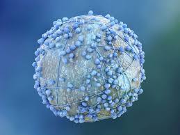 Criterii noi de incadrare in grad de handicap. New Method To Detect Early Stage Cancer Identified By Georgia State Emory Research Team