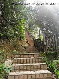 It was gazetted in 1906 and was formerly known as bucket weld forest reserve followed by. Kl Forest Eco Park Bukit Nanas Forest Reserve