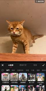 AI生成毛孩圖簡化版1個APP玩齊手辦公仔、建築雕像、玩具公仔、影片