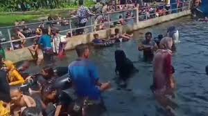 Kolam renang royal club house ini mempunyai. Abaikan Physical Distancing Pemandian Umbulan Pasuruan Dipenuhi Warga