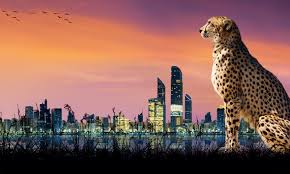Animal Attractions In The Uae Community Things To Do