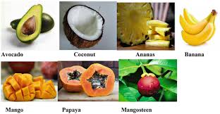 Learn more about the members and physical characteristics of the family. Minimal Processing Of Tropical And Subtropical Fruits Vegetables Nuts And Seeds Springerlink