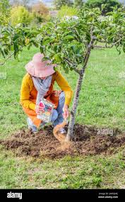 نتیجه جستجوی لغت [acidify] در گوگل