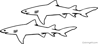 Includes images of baby animals, flowers, rain showers, and more. Lemon Shark Coloring Pages Coloringall
