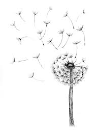 Pin On Floral Love