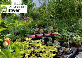 Adresse & öffnungszeiten botanischer garten der universität wien, rennweg 14 (vienna) auf nochoffen.de finden! Wittwer Christian Ing E U Landschaftsgartner In Wien Adresse Offnungszeiten Bewertungen Tel 016670 Infobel