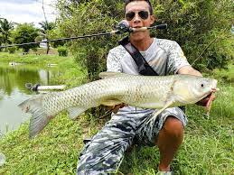 Check spelling or type a new query. Mancing Ikan Rohu Kolam