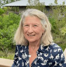 Meet Our Team and Board