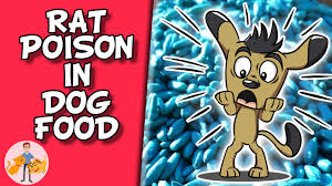 What pet foods have been recalled. Dog Food Recall Hills Vitamin D Toxicity Update Dog Food Recall Dog Food Recipes Canned Dog Food