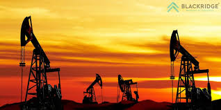 Reconsidering The Basis Of Fid In Sanctioning Mega Projects: An Alternate  Perspective