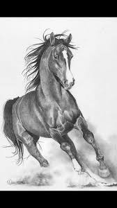 Horse Sketch Horse Drawings Horse Painting