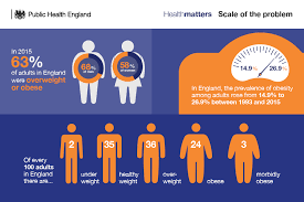 health matters obesity and the food environment gov uk