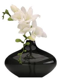 Pin By Ahmed Alabdullah On Transparent شفافة In 2020 Black Vase Vase White Orchids