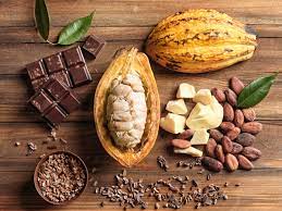Trái ca cao tươi chế biến như thế nào?