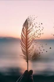 Image About Love In Cute Photography By Ocean Kiss Nature Photography Beautiful Wallpapers Aesthetic Wallpapers