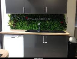 Particulier Mur Vegetal Artificiel Hoa Deco 35 Cuisine Credence Deco Interieur Tendance Cadre Tableau Mur Vegetal Ho Credence Deco Mur Vegetal Credence Cuisine