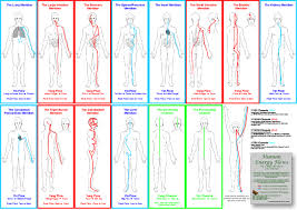 how to clear the body meridians i am press