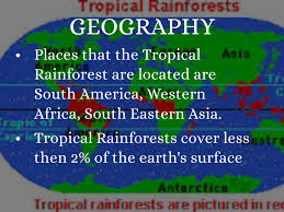South america is home to the planet's largest rainforest. Tropical Rainforest By Mia Pyle