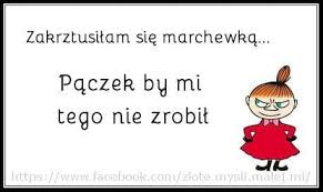 Obrazek