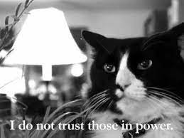 Henri The Existential Cat On Politics Of The Day Henri The Cat French Cats Funny Cute Cats