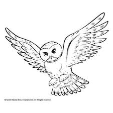 Coloring Snowy Owl Hedwig Picture Liked On Polyvore Featuring Home And Home Decor Owl Coloring Pages Owls Drawing Coloring Pages