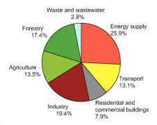 The Causes Of Global Warming