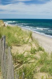 Birds Of Cape Cod National Seashore Marconi Point Cape Cod National Seashore Massachusetts Guglielmo Marconi Began Dreaming Of A Way To Send Messages From Tran Cape Cod Beaches Cape Cod Beach