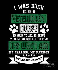I Was Born To Be A Veterinary Nurse Vet Tech Animal Doctor Lovers Gifts Digital Art By Thomas Larch