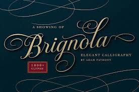 Calligraphy is an artistic writing style where the pressure is varied to create thick and thin lines, all in a single stroke. 45 Best Calligraphy Fonts To Help You Stand Out The Designest