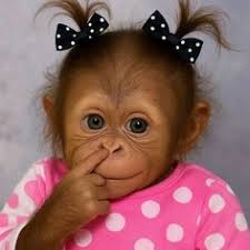 Robyn McGowan (rlmcgowan)