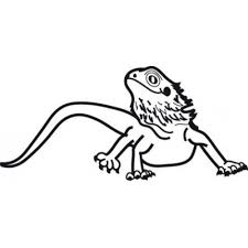 By best coloring pages december 31st 2019. Bearded Dragon Coloring Pages Best Coloring Pages For Kids Dragon Coloring Page Bearded Dragon Bearded Dragon Cute
