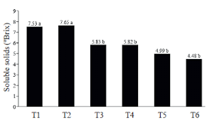 This ensures you have proof the irs received your election request. Agronomic Performance Of Strawberry Plants Under Growing Environments And Organomineral Fertilization