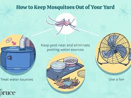 How to get rid of mosquitoes in garden. How To Keep Mosquitoes Out Of Your Yard