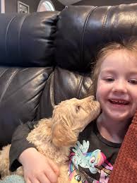 Rainy day cuddles are the best! 💛💛