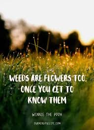 Winnie the pooh stories written by the classic author a.a milne gave us some wonderful, unforgettable life memories. 43 Inspiring Winnie The Pooh Quotes That Are Words Of Wisdom Winnie The Pooh Quotes Nature Quotes Inspirational Pooh Quotes