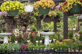 Alleyn park garden centre at the rear of 77 park hall road. Can Garden Centres Open In Lockdown Hot Lifestyle News
