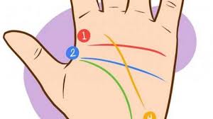 Entdecke rezepte, einrichtungsideen, stilinterpretationen und andere ideen zum ausprobieren. Inilah 5 Cara Dalam Membaca Garis Tangan Seseorang Tionghoa Info