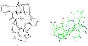 Image result for Strychnos matopensis