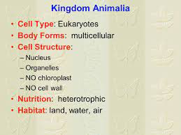 Types of reproduction include asexual reproduction and sexual reproduction. Characteristics Of The Six Kingdoms Ppt Video Online Download