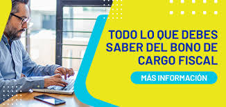 Pago aporte institucional fondo bono laboral. Ntmgaawtvuli M