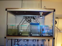 Hallo mädels, ich werde langsam echt schusselig hier zu hause. Meerwasser Aquarium Blog 2015 Fotos Tipps Und Tricks