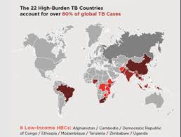 In cattle, it is mainly a respiratory disease but clinical signs are rare. On World Tb Day A One Health Approach To Support Global Efforts To Tackle Bovine Tb By Fcdo Research Medium