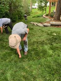 Maybe you would like to learn more about one of these? Sod Supplier In Minnetonka Deer Creek Turf