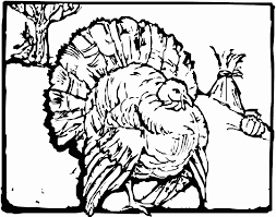 Turkey coloring pages for adults collection. Thanksgiving Coloring Pages For Adults Best Coloring Pages For Kids