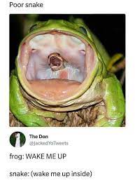 Wake Me Up Inside Memes