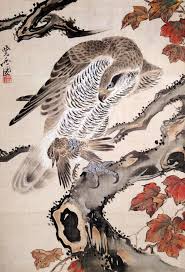 Japanese Bird Of Prey Tattoo Amyipaguana Kyosai Source Amyipaguana Japanese Drawings Japanese Bird Japanese Art