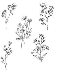 Pinterest Han Strickland Flower Sketches Flower Tattoo Designs Flower Tattoos