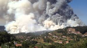 Atividade de scie na anepc; Cds Pp Questiona Governo Sobre O Impacto Dos Incendios No Turismo Publituris Publituris